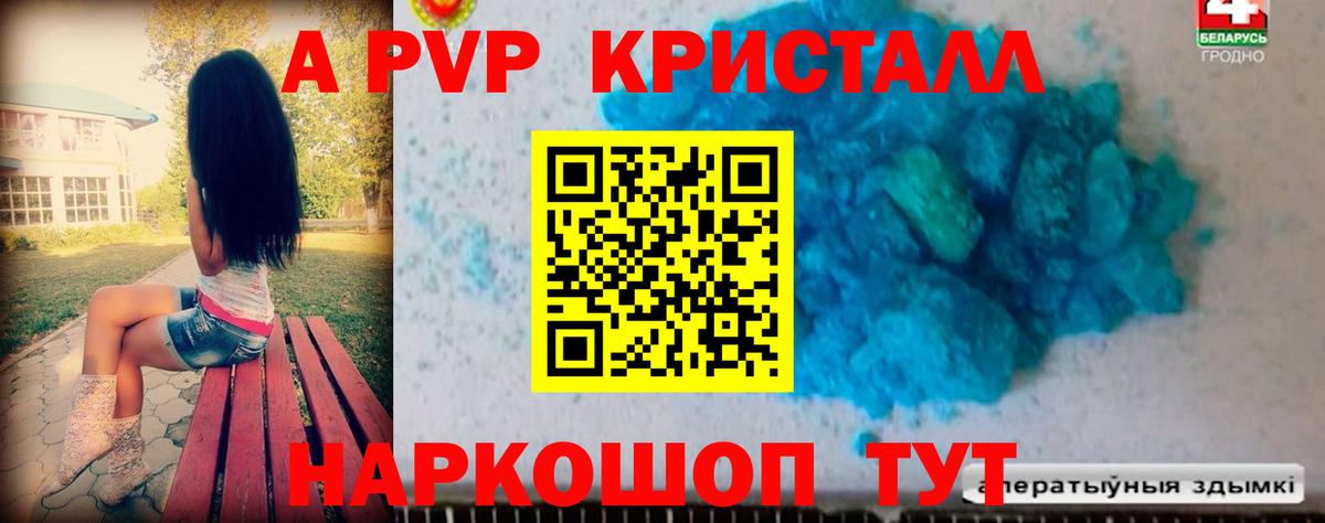 A PVP СК КРИС Коряжма