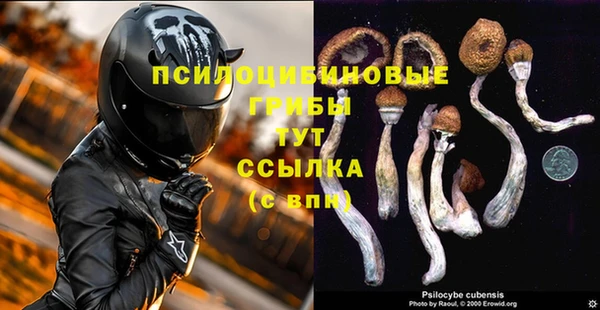 прущие крисы Алзамай