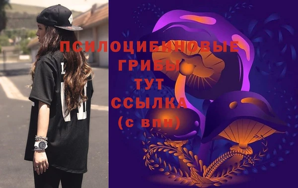 молекула духа Алексин