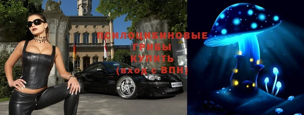 прущие крисы Алзамай