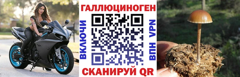 Псилоцибиновые грибы прущие грибы Коряжма