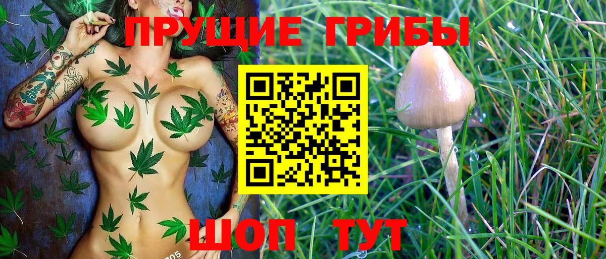 Сколько стоит  Меф МЯУ МЯУ   ГАШ  Коряжма  Меф МЯУ МЯУ  Вход с VPN  MDMA  Марихуана  Кокаин 