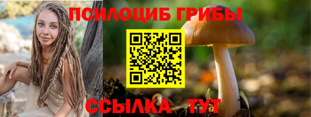 Псилоцибиновые грибы ЛСД Коряжма